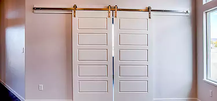 Glass Barn Door with Installation Hardware Kit Selden