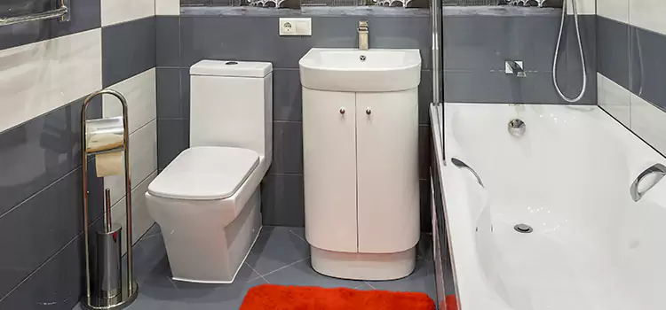 Hansgrohe Shaving Mirror Selden